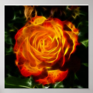 Schöne Rose über Feuer Poster