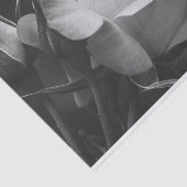 Schöne Rose und Rosenknospe Schwarz und Weiß Seidenpapier (Ausschnitt)