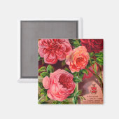 Schöne Rose Vintage Blumenwerbung Magnet (Vorderseite/Rückseite)