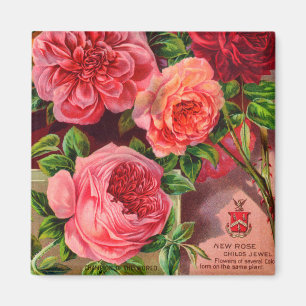 Schöne Rose Vintage Blumenwerbung Magnet