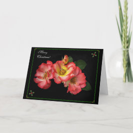 Schöne Rose Weihnachtskarte 2014! Feiertagskarte