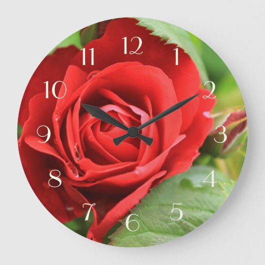 Schöne Rosen-Blumen-helle mit Blumenzahlen Große Wanduhr (Vorderseite)
