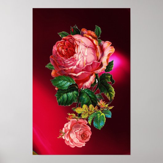 SCHÖNE ROSEN IN ROSA POSTER (Vorne)