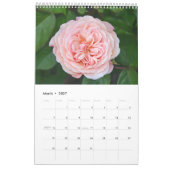 Schöne Rosen Kalender (Mär 2027)