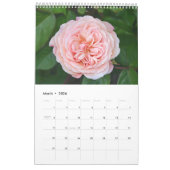 Schöne Rosen Kalender (Mär 2026)