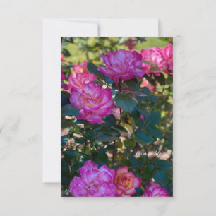 Schöne Rosen Mitteilungskarte