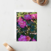 Schöne Rosen Mitteilungskarte (Vorderseite/Rückseite Beispiel)