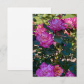 Schöne Rosen Mitteilungskarte (Vorne/Hinten)