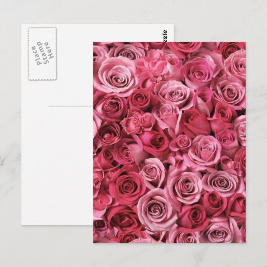 Schöne Rosen Postkarte (Vorne/Hinten)