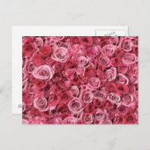 Schöne Rosen Postkarte (Vorne/Hinten)