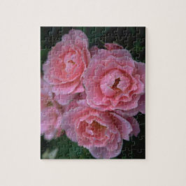 Schöne Rosen Puzzle