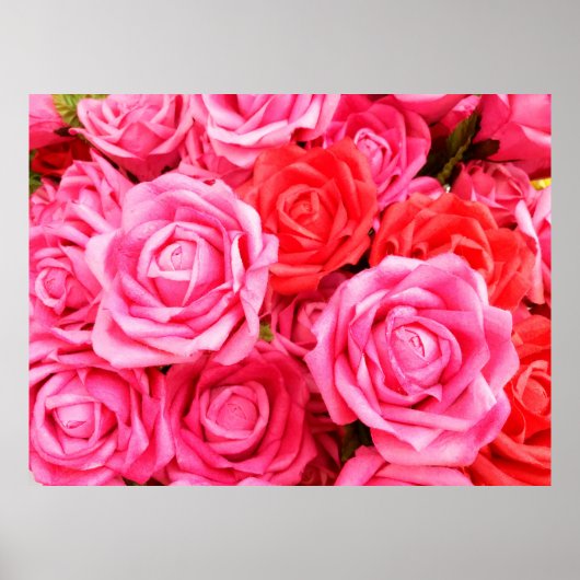 Schöne Rosen und Rosa Poster (Vorne)