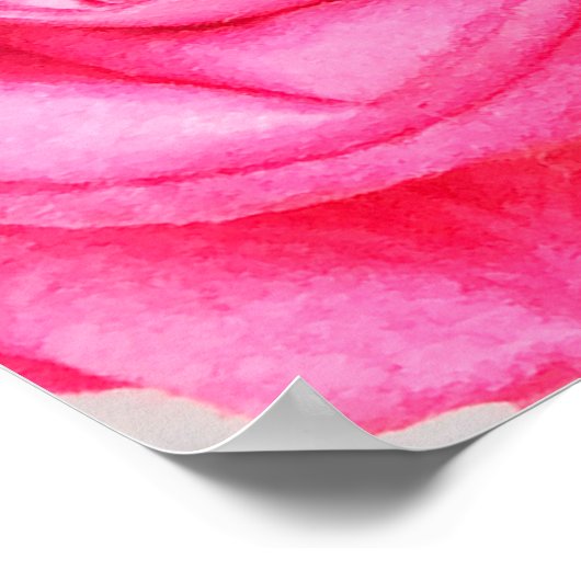 Schöne Rosen und Rosa Poster (Ecke)