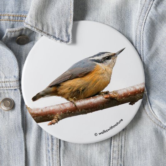 Schöne Rot-Breasted-Nuthatch an einer Zweigstelle Button (Beispiel)