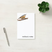 Schöne Rot-Breasted-Nuthatch an einer Zweigstelle Post-it Klebezettel (Büro)