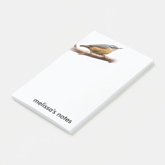 Schöne Rot-Breasted-Nuthatch an einer Zweigstelle Post-it Klebezettel (angewinkelt)