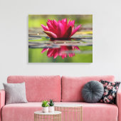 Schöne Rot-Floating-Wasserlilie Leinwanddruck (Insitu (Wohnzimmer))