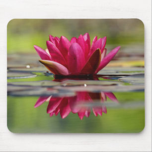 Schöne Rot-Floating-Wasserlilie Mousepad