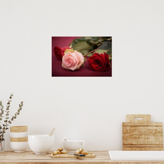 Schöne Rot und Rosa Rosen Poster (Küche)