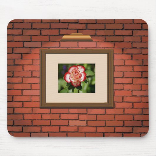 Schöne Rot-Weiß-Rose an einer Ziegelmauer Mousepad (Vorne)
