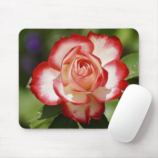 Schöne Rot-Weiß-Rose Mousepad (Mit Mouse)