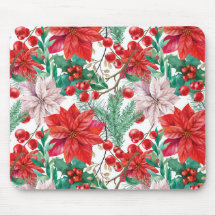 Schöne rot-weiße Weihnachtspoinsettie