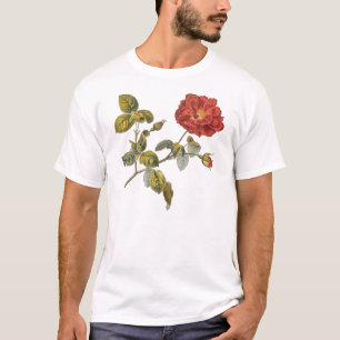 Schöne rote antike Vintage Rose Rosa Gallica T-Shirt