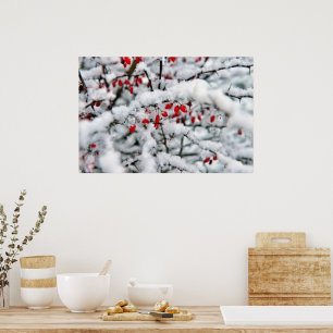 Schöne rote Beeren und Schnee Poster