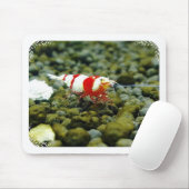 Schöne rote Bienen-Garnele-Schenkungssteuer Mousepad (Mit Mouse)