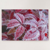 Schöne rote Blätter mit spitzen Frost. Puzzle (Horizontal)