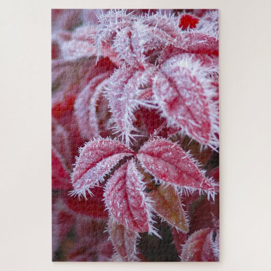 Schöne rote Blätter mit spitzen Frost. Puzzle (Vertikal)