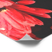 schöne rote Blume, Blume, Poster (Ecke)