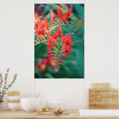 Schöne rote Blume drucken # 6837 Poster (Küche)