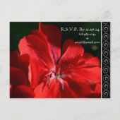 Schöne Rote Blume Einladung Hochzeit (Rückseite)