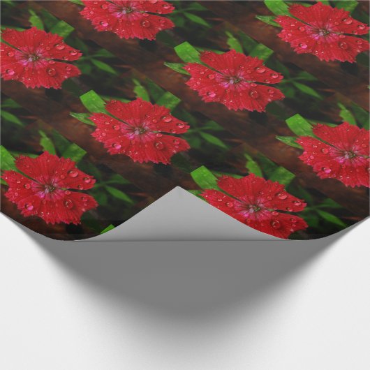 Schöne rote Blume mit Raindrops-Foto Geschenkpapier (Ecke)