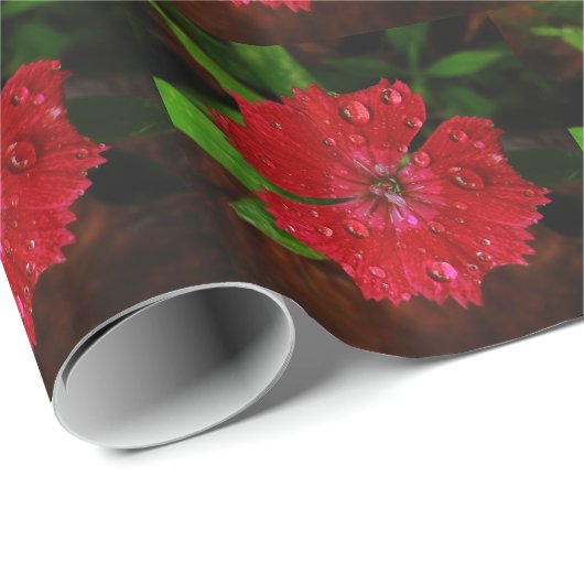 Schöne rote Blume mit Raindrops-Foto Geschenkpapier (Rolleneckpunkt)