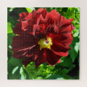 Schöne rote Dahlia Puzzle (Horizontal)