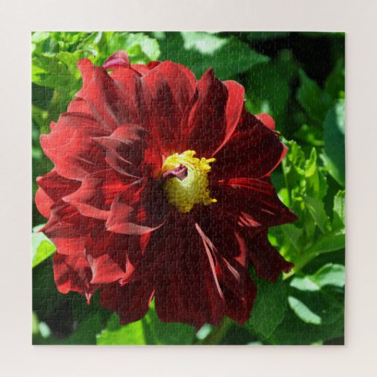 Schöne rote Dahlia Puzzle (Vertikal)