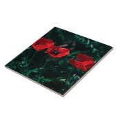 Schöne Rote Drei-Poppe-Blume Fliese (Seite)
