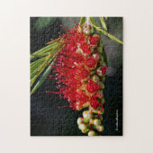 Schöne rote Flaschenbürstenblüten Puzzle (Vertikal)