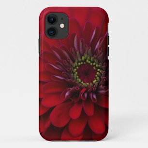 Schöne rote Gartenzinnia-Blume Case-Mate iPhone Hülle