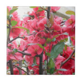 Schöne rote japanische Quitte Fliese (Vorderseite)