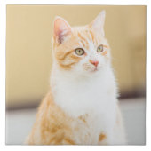 Schöne rote Katze Fliese (Vorderseite)