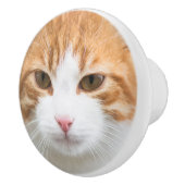 Schöne rote Katze Keramikknauf (Rechts)