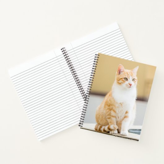 Schöne rote Katze Notizblock (Innenseite)