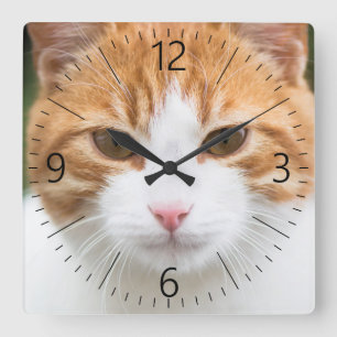 Schöne rote Katze Quadratische Wanduhr