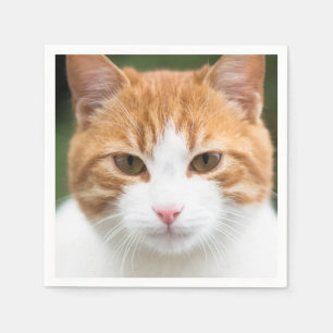Schöne rote Katze Serviette
