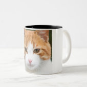 Schöne rote Katze Zweifarbige Tasse (VorderseiteRechts)