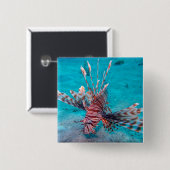 Schöne rote Löwe-Fische Button (Vorne & Hinten)