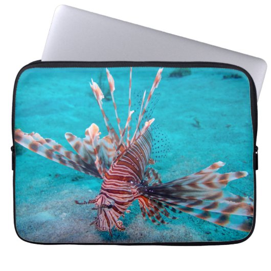 Schöne rote Löwe-Fische Laptopschutzhülle (Vorderseite)